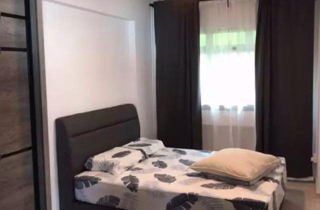 单间出租 • 林厝港 • 347 Kang Ching Road • S$1000 • 5房(4臥室) • 普通房