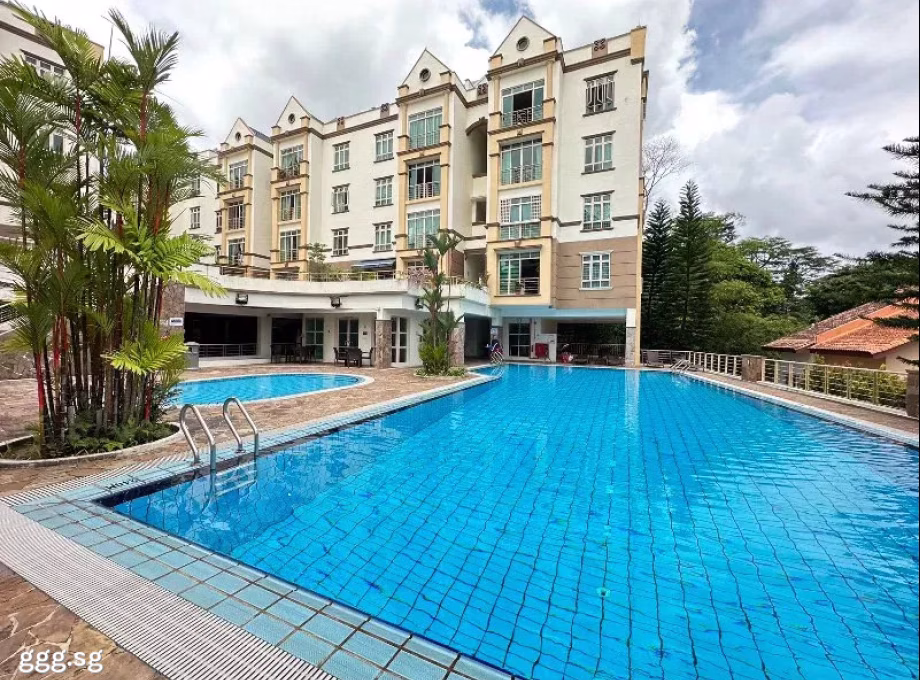 单间出租 • 蔡厝港 •  Le Hill Condominium • S$1800 • 共管公寓 • 普通房 照片