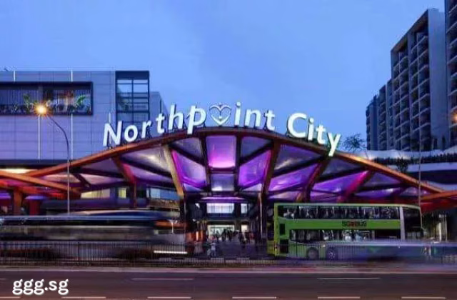 整套出租 • 梧槽 •  North Park Residences • S$4980 • 住宅公寓 • 1100ft² / 102m²
