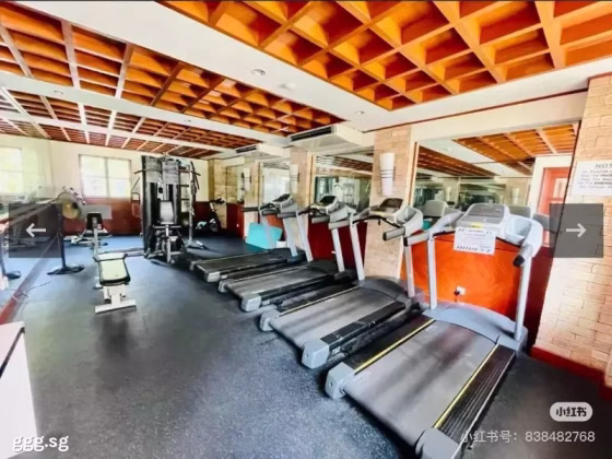 单间出租 • 红山 •  Springdale Condo • S$1250 • 5房(4臥室) • 普通房 照片