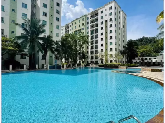 单间出租 • 红山 •  Springdale Condo • S$1250 • 5房(4臥室) • 普通房 照片