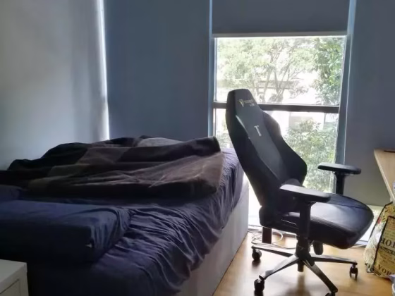 整套出租 • 红山 •  The Linear • S$5000 • 住宅公寓 • 1227ft² / 113m² 照片