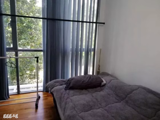 整套出租 • 红山 •  The Linear • S$5000 • 住宅公寓 • 1227ft² / 113m² 照片