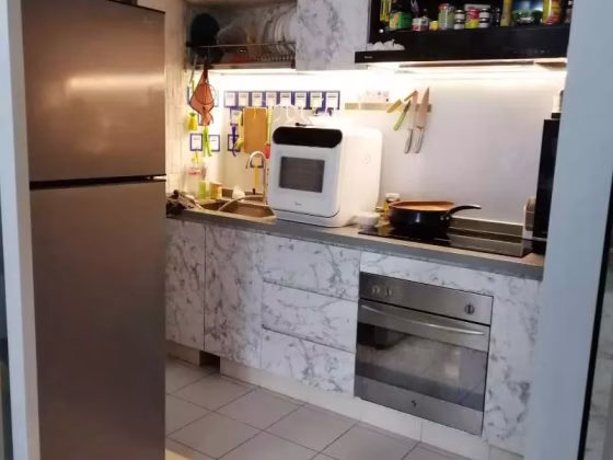 整套出租 • 红山 •  The Linear • S$5000 • 住宅公寓 • 1227ft² / 113m² 照片