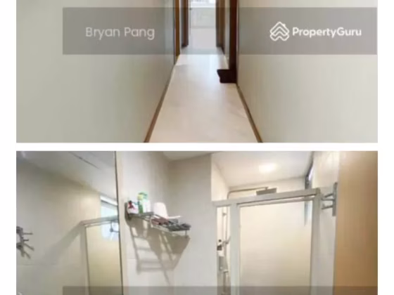 整套出租 • 武吉巴督 •  Hillview Regency • S$3750 • 共管公寓 •  照片