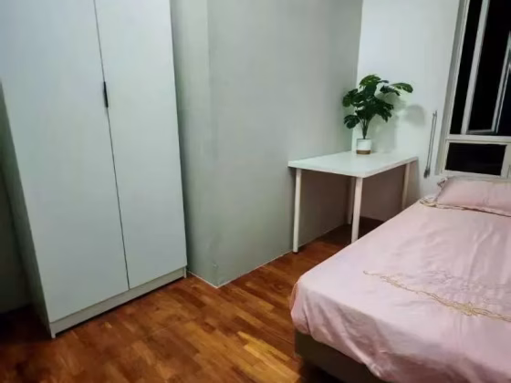 单间出租 • 诺维娜 •  Teck Hiang Gardens • S$1000 • 住宅公寓 • 普通房 照片