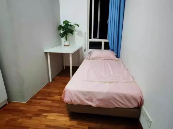 单间出租 • 诺维娜 •  Teck Hiang Gardens • S$1000 • 住宅公寓 • 普通房 照片