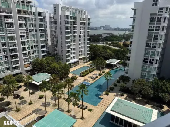 单间出租 • 武吉班让 •  Monterey Park Condominium • S$1600 • 住宅公寓 • 普通房 照片