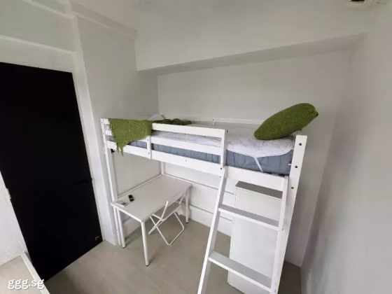 单间出租 • 纽顿 •  The Marque @ Irrawaddy • S$1100 • 住宅公寓 • 普通房 照片