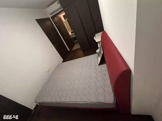 单间出租 • 博物馆 •  Lavender Residence • S$2400 • 住宅公寓 • 主人房 照片