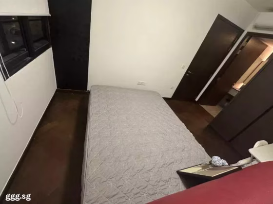 单间出租 • 博物馆 •  Lavender Residence • S$2400 • 住宅公寓 • 主人房 照片