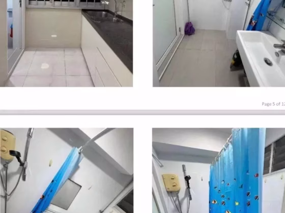 单间出租 • 芽笼 • 227 Choa Chu Kang Central • S$850 • 4房(3臥室) • 普通房 照片
