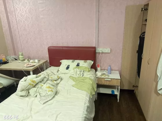 单间出租 • 西部集水区 • 497F Tampines Street 45 • S$700 • 5房(4臥室) • 普通房 照片