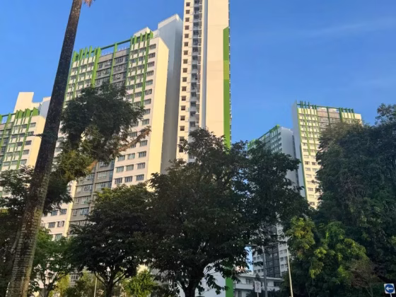单间出租 • 三巴旺 • 183A Woodlands Street 13 • S$1000 • 4房(3臥室) • 普通房 照片
