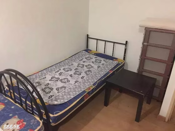 单间出租 • 宏茂桥 • 558 Pasir Ris Street 51 • S$400 • 4房(3臥室) • 普通房 照片