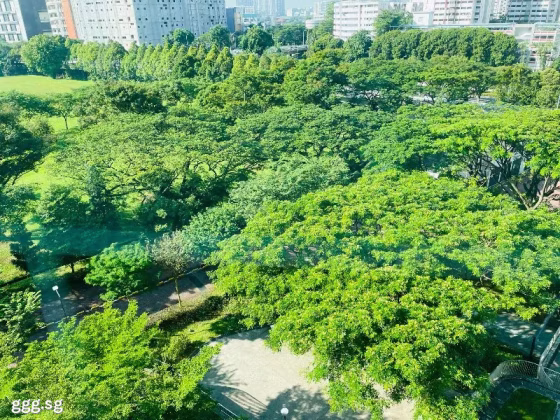 单间出租 • 武吉巴督 • 296C Bukit Batok Street 22 • S$1200 • 3房(2臥室) • 普通房 照片