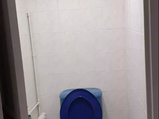 单间出租 • 纽顿 • 85 Whampoa Drive • S$1200 • 3房(2臥室) • 普通房 照片