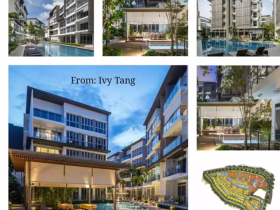 整套出租 • 勿洛 •  Euhabitat • S$3200 • 住宅公寓 • 564ft² / 52m² 照片