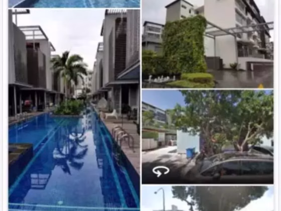 整套出租 • 勿洛 •  Euhabitat • S$3200 • 住宅公寓 • 564ft² / 52m² 照片