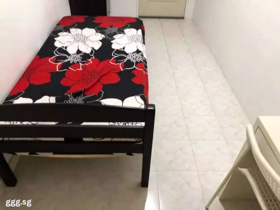 单间出租 • 纽顿 •  Ritz Mansion • S$1250 • 住宅公寓 • 普通房 照片