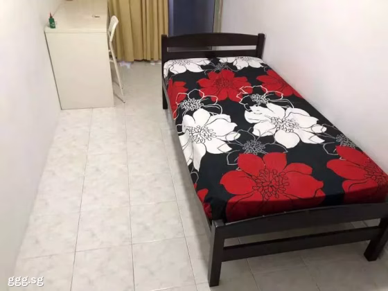 单间出租 • 纽顿 •  Ritz Mansion • S$1250 • 住宅公寓 • 普通房 照片