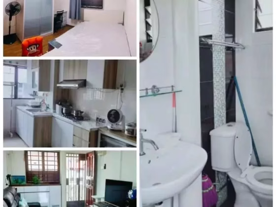 单间出租 • 武吉班让 • 730 Clementi West Street 2 • S$1350 • 3房(2臥室) • 普通房 照片