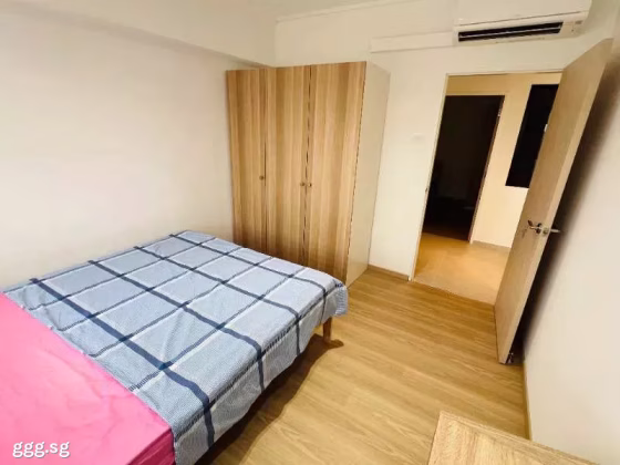 单间出租 • 大巴窑 •  Lucky Plaza • S$1800 • 住宅公寓 • 普通房 照片