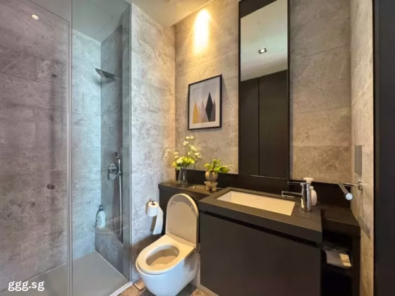 整套出租 • 勿洛 •  Oue Twin Peaks • S$4000 • 共管公寓 • 549ft² / 51m² 照片