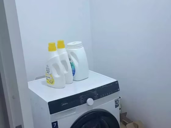 整套出租 • 林厝港 •  Lakeville • S$6200 • 共管公寓 • 1141ft² / 106m² 照片