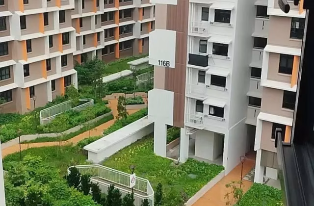 整套出租 • 裕廊东 •  Plantation Crescent • S$2300 • 2房(1臥室) • 8100ft² / 752m²