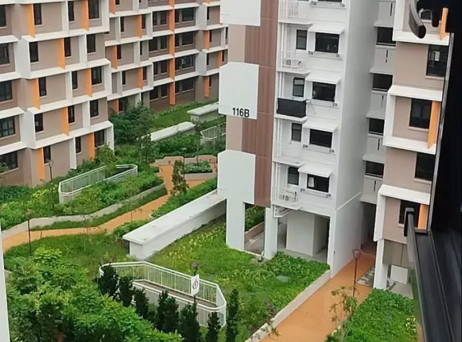 整套出租 • 裕廊东 •  Plantation Crescent • S$2300 • 2房(1臥室) • 8100ft² / 752m² 照片
