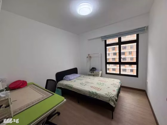 整套出租 • 裕廊东 •  Plantation Crescent • S$2300 • 2房(1臥室) • 8100ft² / 752m² 照片