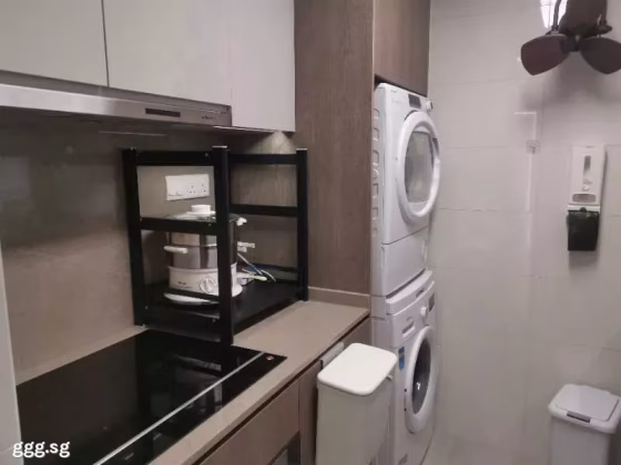 整套出租 • 金文泰 •  Avenue South Residence • S$5800 • 住宅公寓 • 947ft² / 87m² 照片