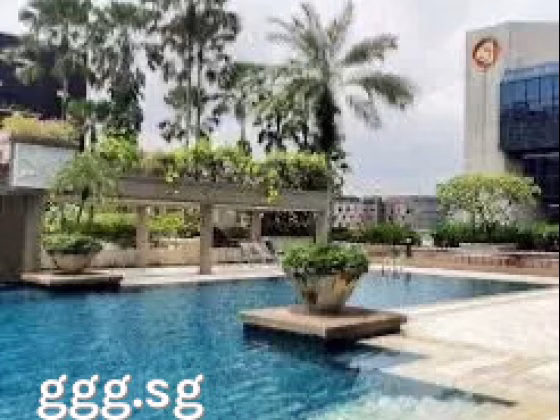 整套出租 • 南部群岛 •  Burlington Square • S$5300 • 住宅公寓 • 1152ft² / 107m² 照片