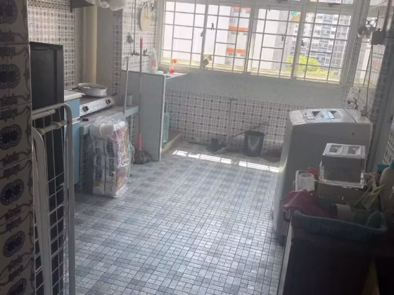 整套出租 • 蔡厝港 • 8 Holland Avenue • S$2500 • 3房(2臥室) • 700ft² / 65m² 照片