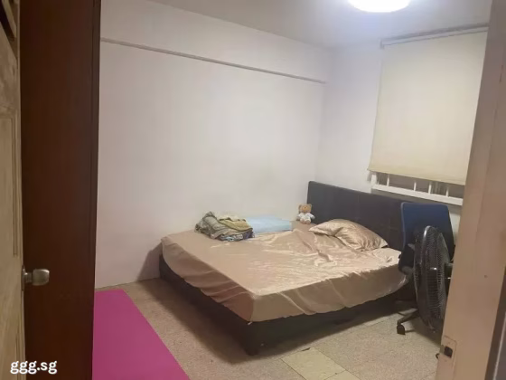 整套出租 • 蔡厝港 • 8 Holland Avenue • S$2500 • 3房(2臥室) • 700ft² / 65m² 照片