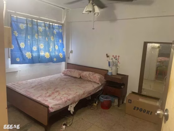 整套出租 • 蔡厝港 • 8 Holland Avenue • S$2500 • 3房(2臥室) • 700ft² / 65m² 照片