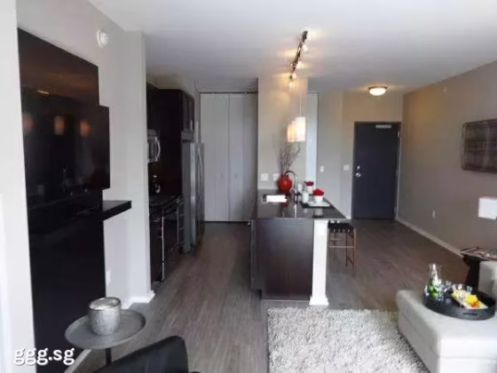 整套出租 • 林厝港 • 637 Jurong West Street 61 • S$1200 • 住宅公寓 • 525ft² / 48m² 照片