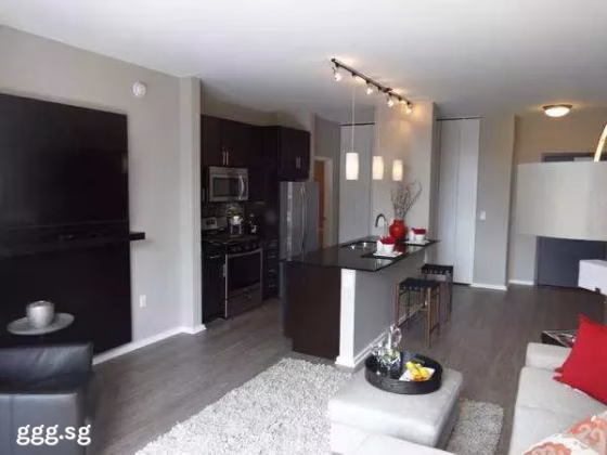 整套出租 • 林厝港 • 637 Jurong West Street 61 • S$1200 • 住宅公寓 • 525ft² / 48m² 照片