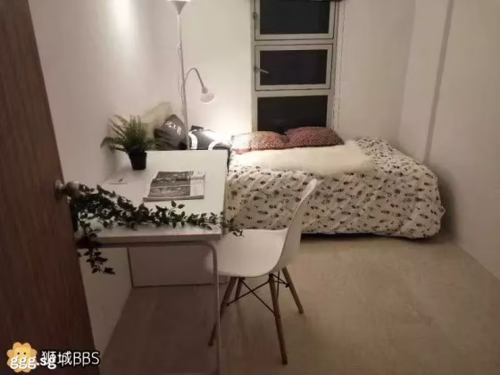 单间出租 • 纽顿 •  Novena Court • S$1100 • 住宅公寓 • 普通房 照片