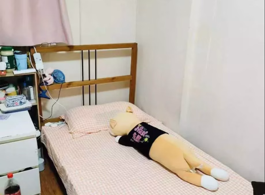 单间出租 • 南部群岛 • 29 Kelantan Road • S$550 • 3房(2臥室) • 主人房 照片