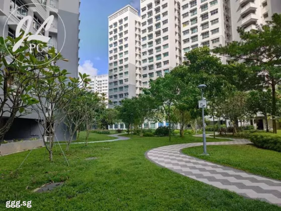 单间出租 • 后港 • 102A Canberra Street • S$850 • 4房(3臥室) • 普通房 照片