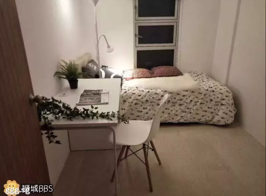 单间出租 • 纽顿 •  Novena Court • S$1100 • 住宅公寓 • 佣人房 照片