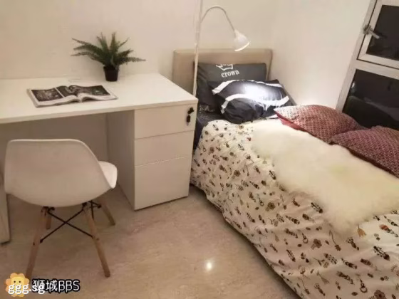 单间出租 • 纽顿 •  Novena Court • S$1100 • 住宅公寓 • 佣人房 照片