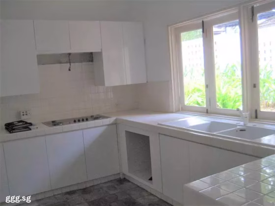 整套出租 • 诺维娜 • MORLEY ROAD (267723) • S$35000 • 优质洋房 • 15000ft² / 1393m² 照片
