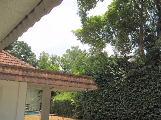 整套出租 • 诺维娜 • MORLEY ROAD (267723) • S$35000 • 优质洋房 • 15000ft² / 1393m² 照片