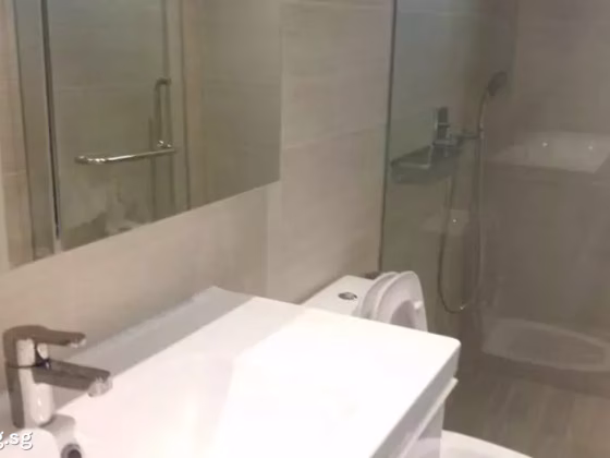 整套出租 • 诺维娜 • MORLEY ROAD (267723) • S$35000 • 优质洋房 • 15000ft² / 1393m² 照片