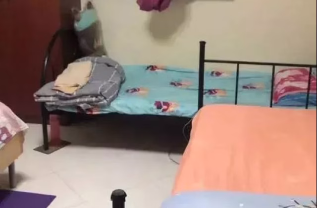 单间出租 • 乌节 • 319 Ang Mo Kio Avenue 1 • S$550 • 3房(2臥室) • 床位出租