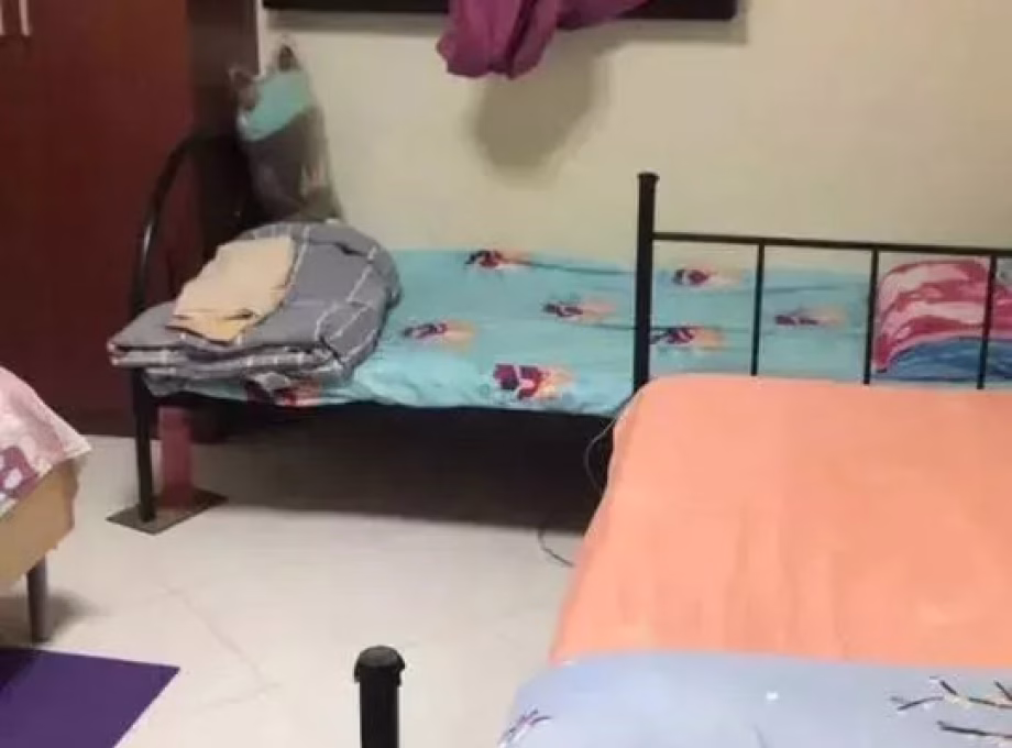 单间出租 • 乌节 • 319 Ang Mo Kio Avenue 1 • S$550 • 3房(2臥室) • 床位出租 照片