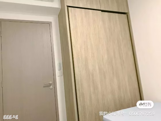 单间出租 • 碧山 •  Ola • S$1200 • 共管公寓 • 普通房 照片